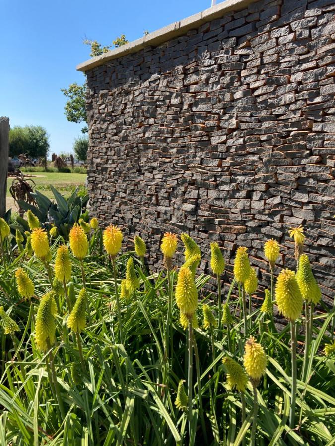 The Vaal Guesthouse Oranjeville Exterior foto